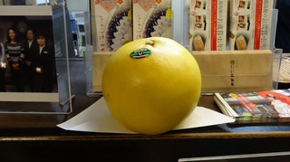 DSC02984小.jpg