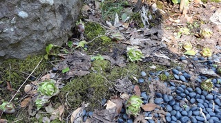 DSC03023小.jpg