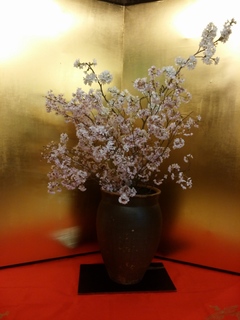 IMG00361.jpg