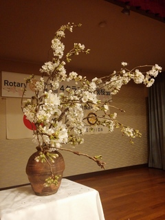 IMG00365.jpg