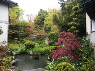 IMG00372.jpg