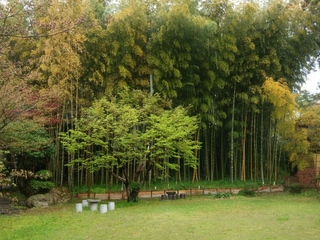 IMG00377.jpg