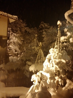 IMG00556.jpg