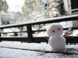 IMG_20170202_0735342.jpg