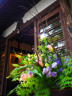 OI000824.jpg