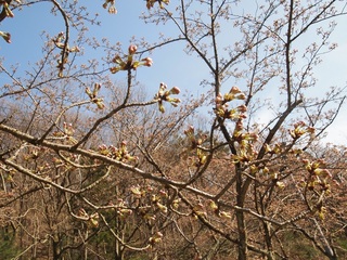 P4101651小.jpg