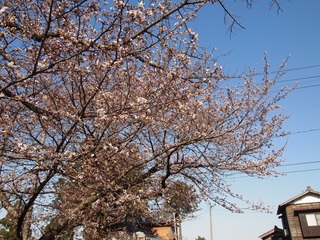 P4101652小.jpg